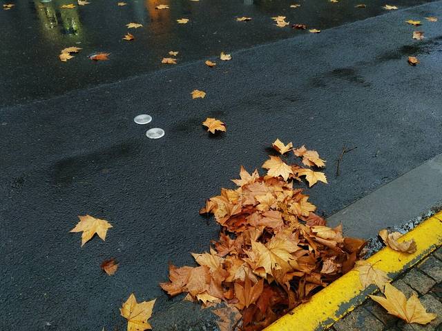 云海肴(上海黄埔日月光店)