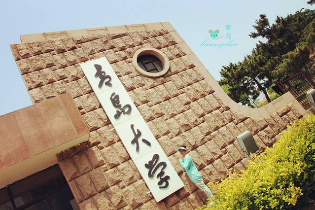 青岛大学