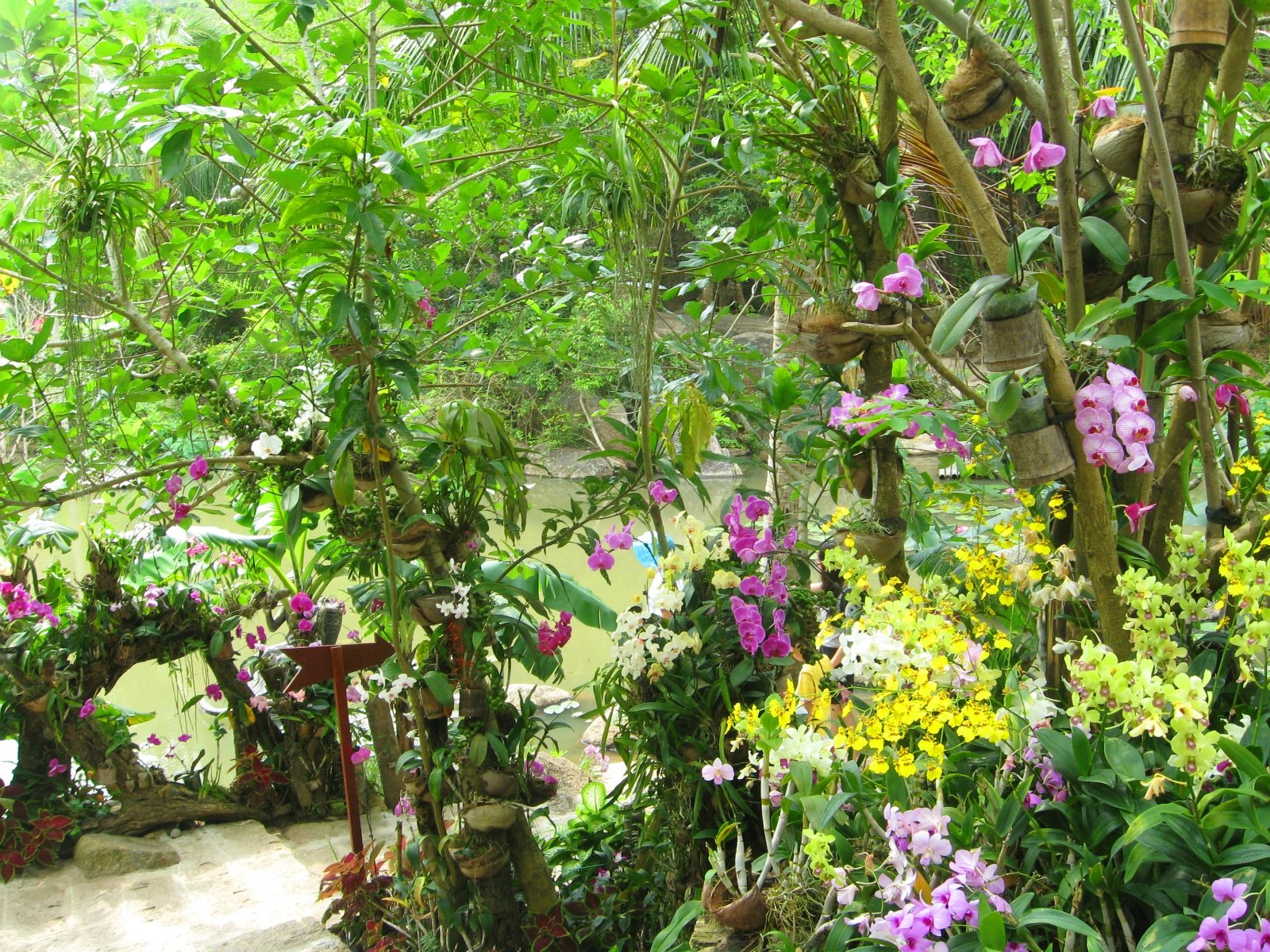 兰花最突出的景点是那一条走廊外面下着一串串的小雨珠感觉就跟珠帘似