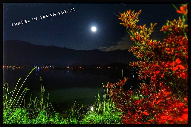 河口湖红叶回廊