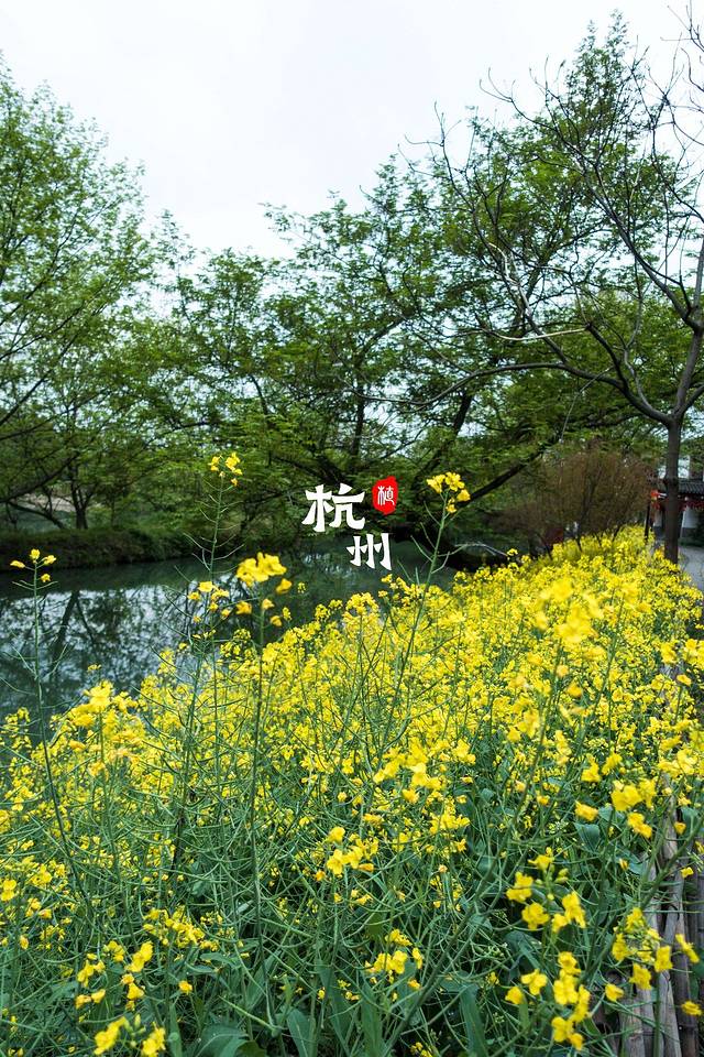 百家溇