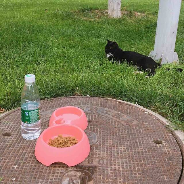 北京外国语大学