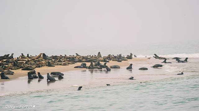 非洲之南,钻石以外【Mobile Safari@博茨瓦纳