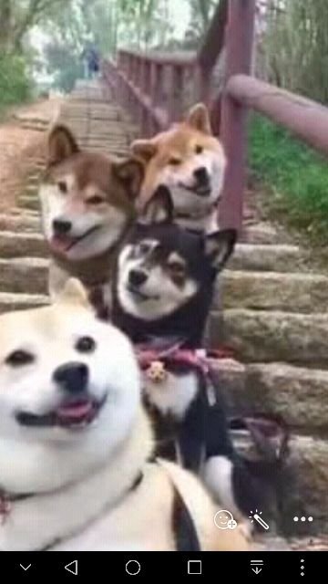 兄弟私家菜(学海街店)