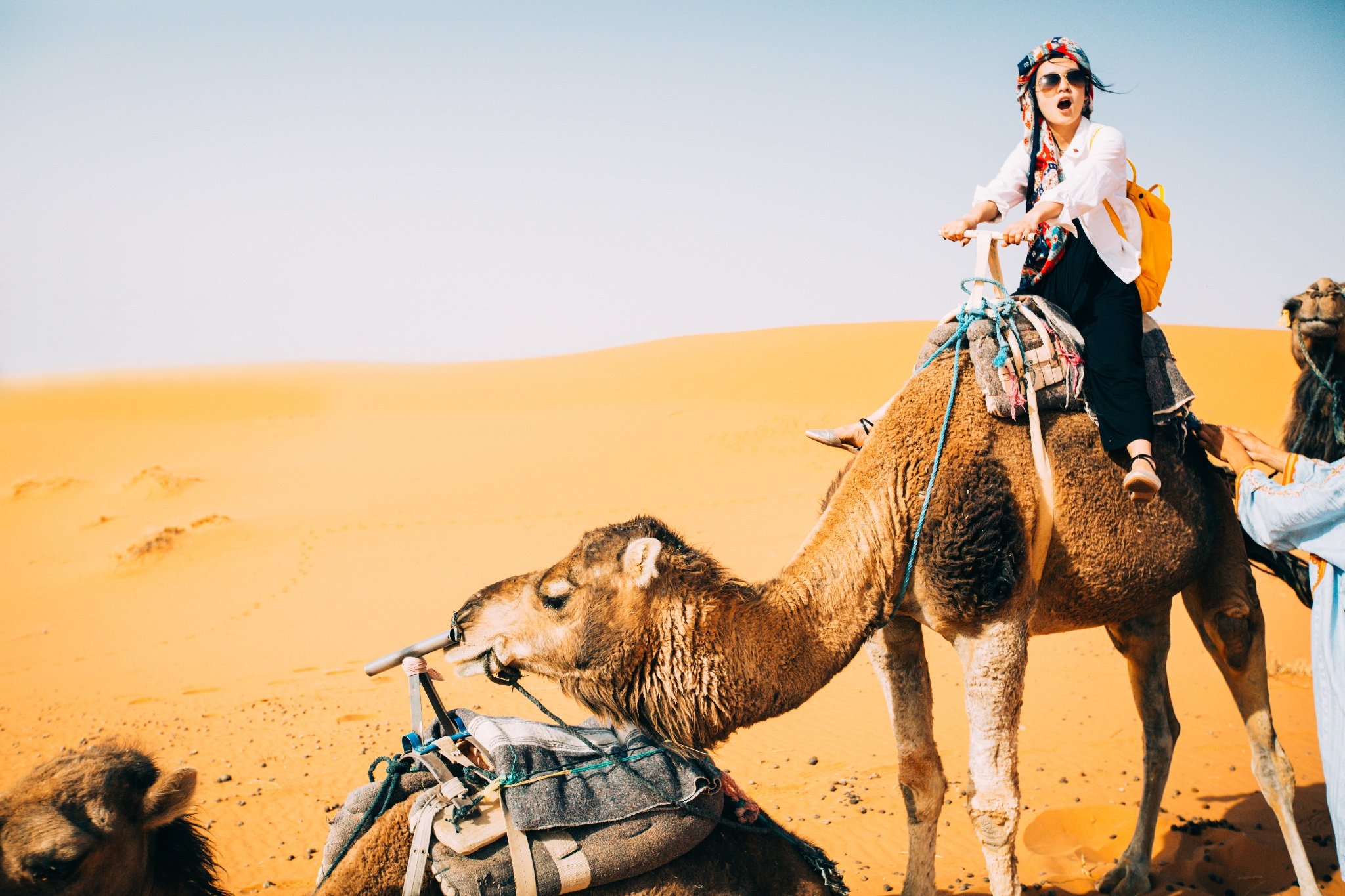 最头疼的事情,骑骆驼.