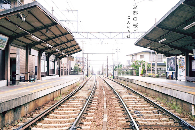 粉黛润暖 遇见镌刻满樱的千年古都 京都旅游攻略 游记 去哪儿攻略
