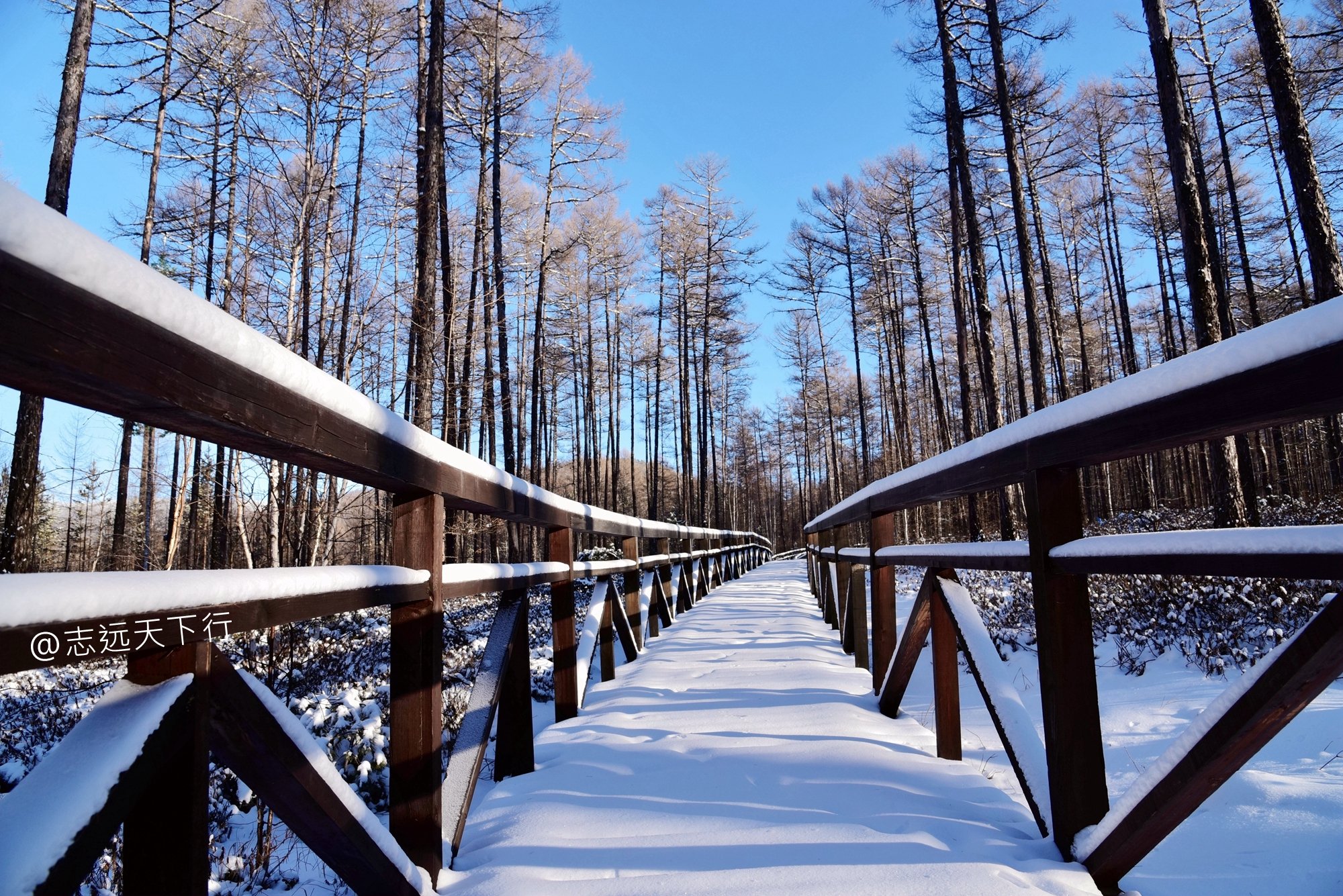 2022莫尔道嘎国家森林公园游玩攻略,不过冬季由于大雪封山,景区.