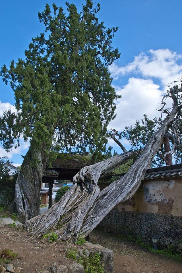 云中大漈-时思寺