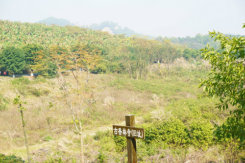 金钟水库旅游景点攻略图
