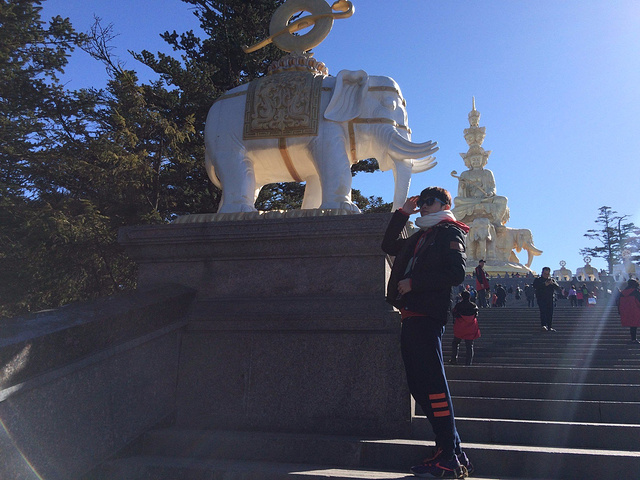 此景让我想到神雕侠侣的一首歌的歌词【问世间