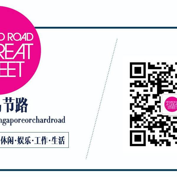 2018年新加坡 人均收入(3)