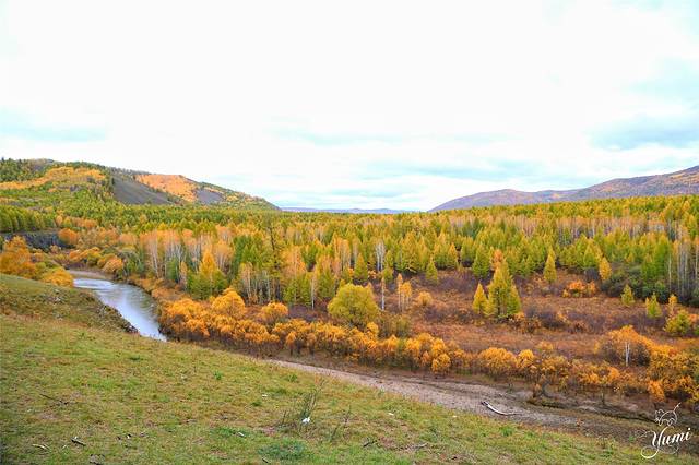 敖鲁古雅驯鹿之乡