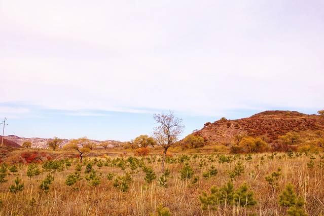 西拉沐沦大峡谷园区