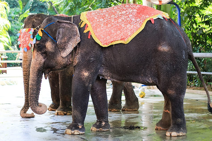 #春节去哪玩#带着家人自驾去?这10条自驾风景