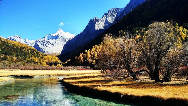 稻城亚丁-冲古草甸