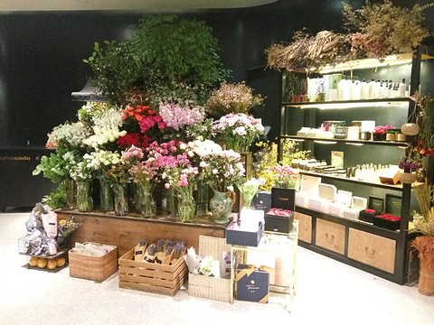 Tomacado花厨(三里屯店)