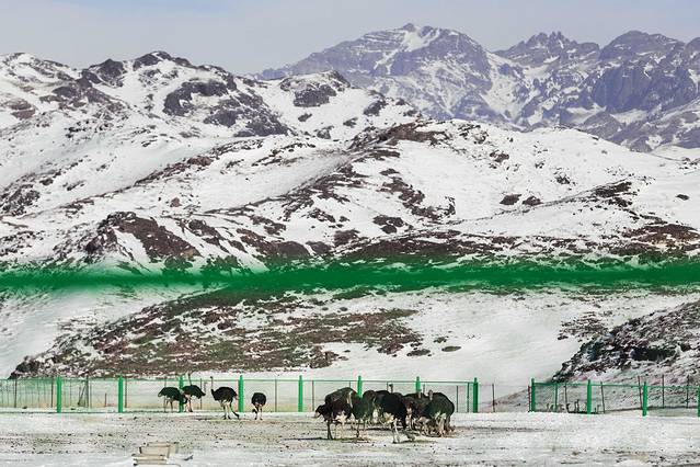 天山野生动物园
