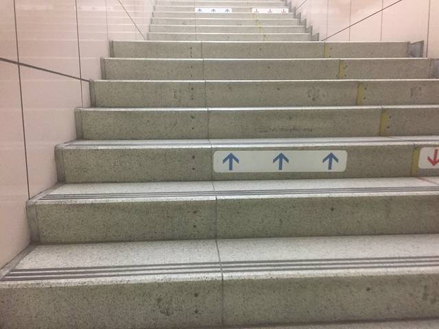 二之丸庭园(二条城内)