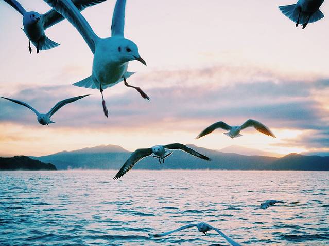 猪槽船游湖（里格码头）