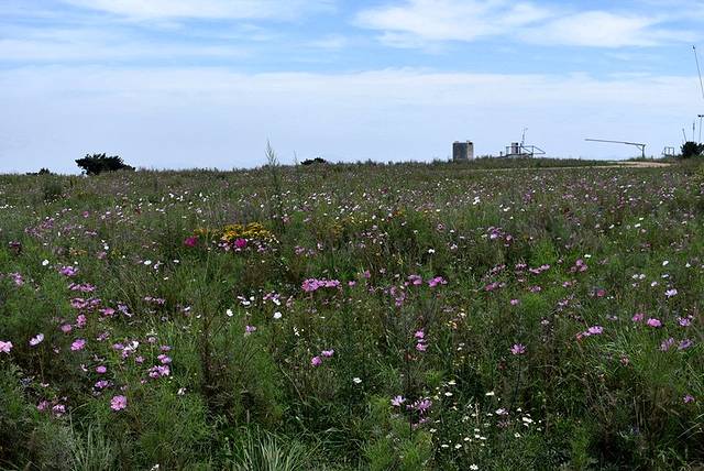 中国嵩顶国家森林公园