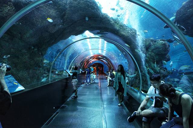 新加坡海洋生态馆