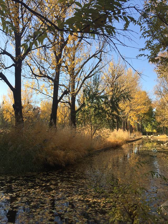 乌兰夫办公旧址