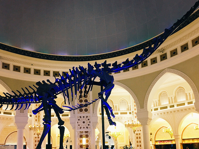 dubaimall 世界最大的商场,有最全的品牌