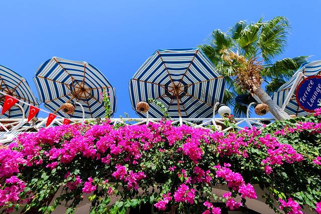 土耳其死海海滩