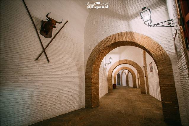 塞维利亚斗牛广场