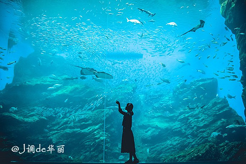 仙台海洋森林水族馆旅游景点攻略图