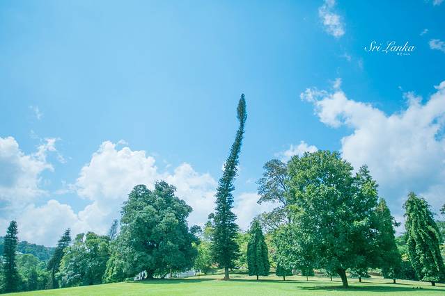 康提皇家植物园