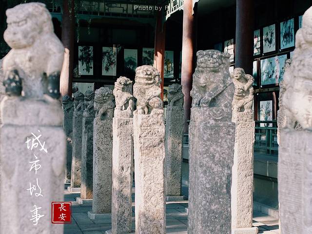 西安碑林博物馆