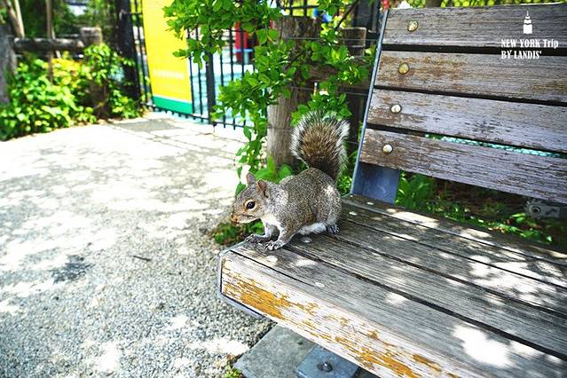 布鲁克林大桥公园