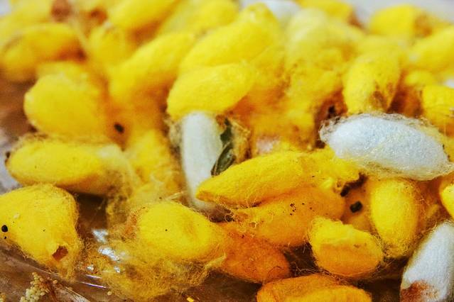 南国丝都丝绸博物馆