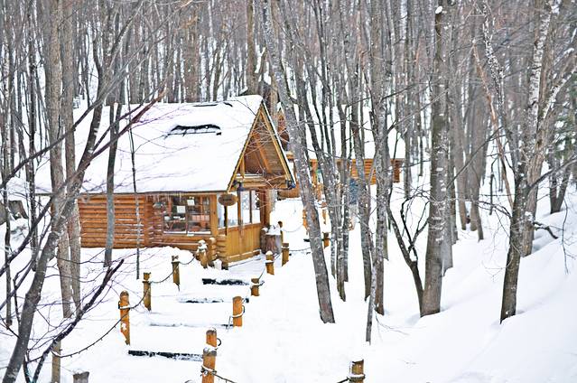 富良野高地薰衣草田