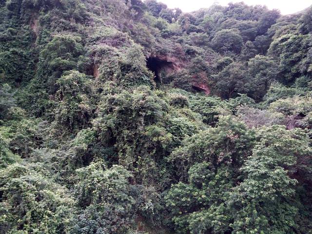 西樵山-白云洞风景区
