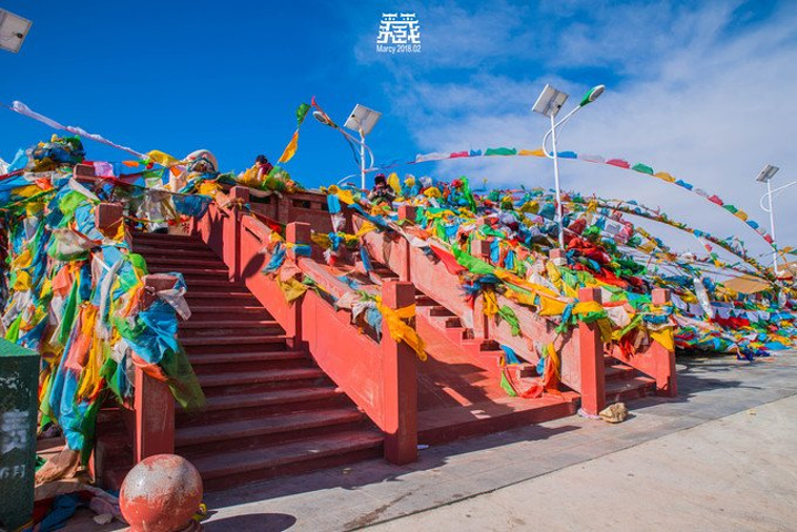 拔又高,很容易晕车和高反,人家高反是头晕恶心