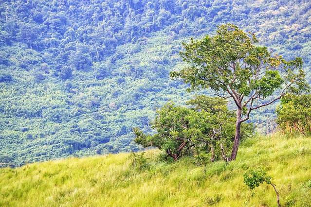 十字架山生态公园