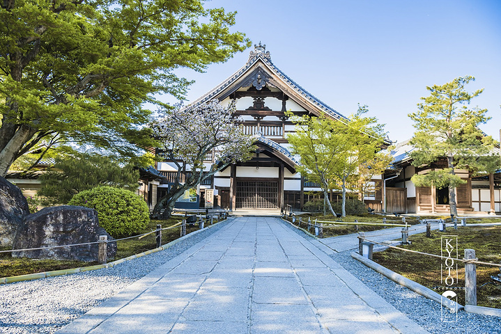 21那高台寺山后的一小片竹林也能带给你片刻的震撼 阳光从缝隙中泄出来 风吹摇曳的竹子相互敲打之声犹 高台寺 评论 去哪儿攻略