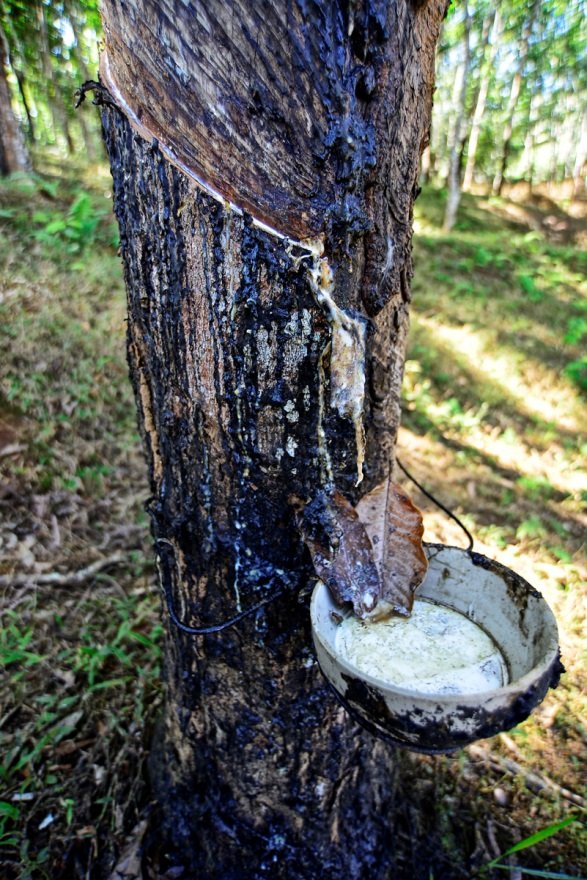 云南南滚国家级自然保护区