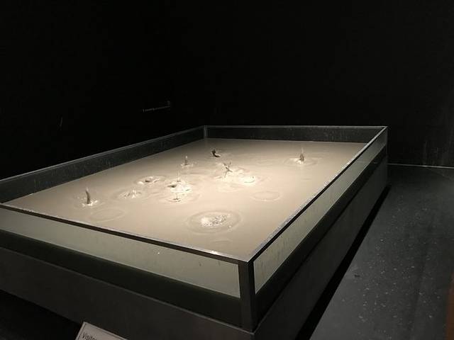 现代艺术博物馆