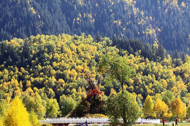 仙米国家森林公园