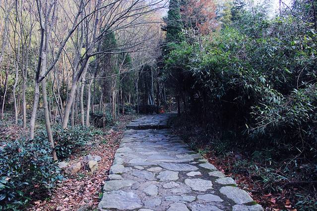 庐山东林大峡谷