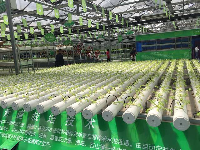 兰陵国家农业公园