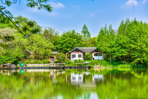 西溪国家湿地公园