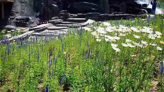 吉木萨尔地质公园