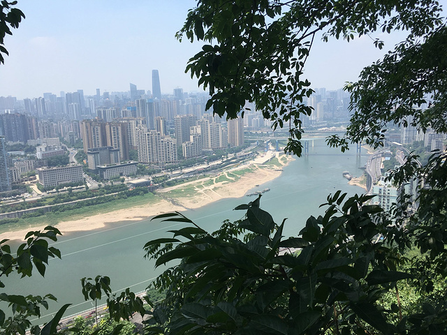 鹅岭公园的环境非常好,而且观景台才5块钱,是一个拍城市景色的好去处