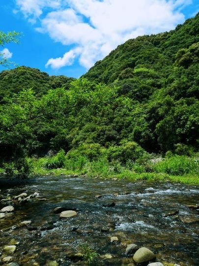 大樟溪休闲游乐区