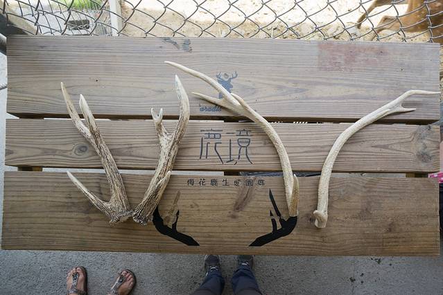 垦丁鹿境梅花鹿生态园区