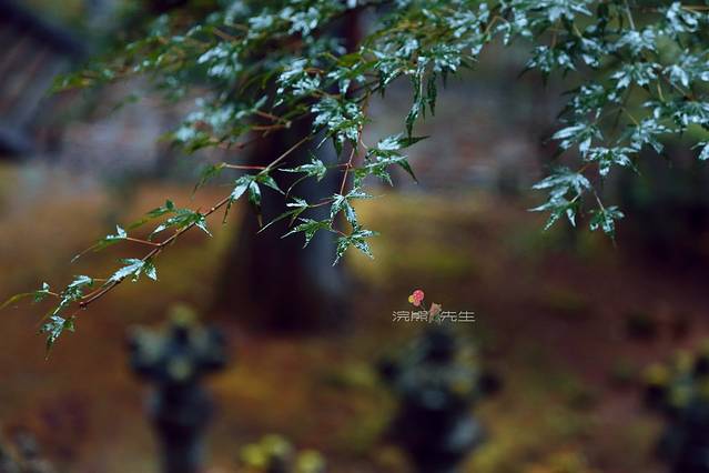 日光二荒山神社